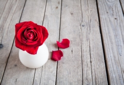 tapet personalizat tapet foto tapet living tapet dormitor 118