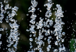 tapet personalizat tapet foto tapet living tapet dormitor 119