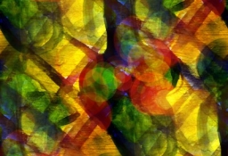 tapet personalizat tapet foto tapet living tapet dormitor 266