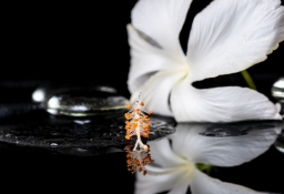 tapet personalizat tapet foto tapet living tapet dormitor 301