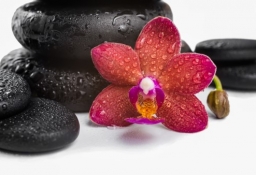 tapet personalizat tapet foto tapet living tapet dormitor 302