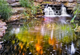 tapet personalizat tapet foto tapet living tapet dormitor 313