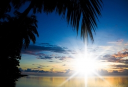 tapet personalizat tapet foto tapet living tapet dormitor 315