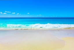 tapet personalizat tapet foto tapet living tapet dormitor 317