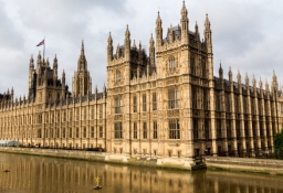 tapet personalizat tapet foto tapet living tapet dormitor 318