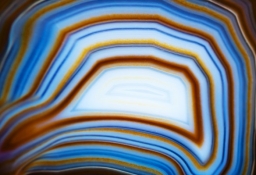 tapet personalizat tapet foto tapet living tapet dormitor 49