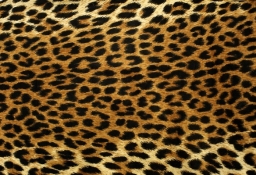 tapet personalizat tapet foto tapet living tapet dormitor 52