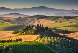 tapet personalizat tapet foto tapet living tapet dormitor 65