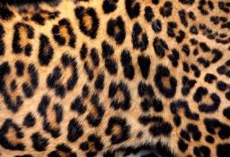 tapet personalizat tapet foto tapet living tapet dormitor 80